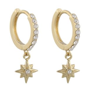 Snö Of Sweden Feliz Ring Stone Earring ─ Gold/Clear kuva