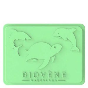 Biovène Universal Case For Storage & Travel Case 1 kpl ─ Mint Green kuva