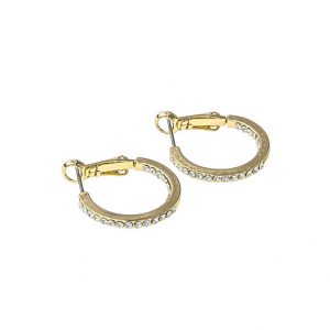 Snö Of Sweden Story Small Ring Earring - Gold/Clear kuva