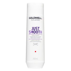 Goldwell Dualsenses Just Smooth Shampoo 250ml kuva